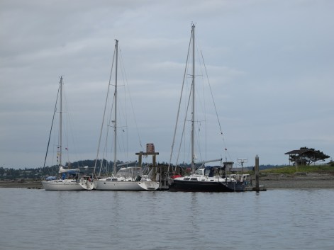 Dock wih Port Townsend in background