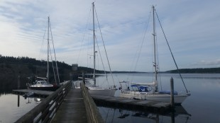 dock with heron in distance