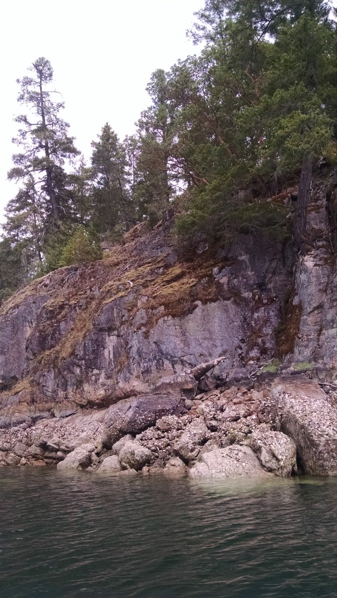 IMG_20170713_143248424