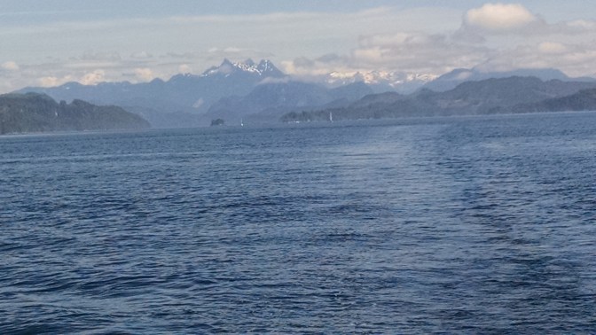 IMG_20170728_124256432