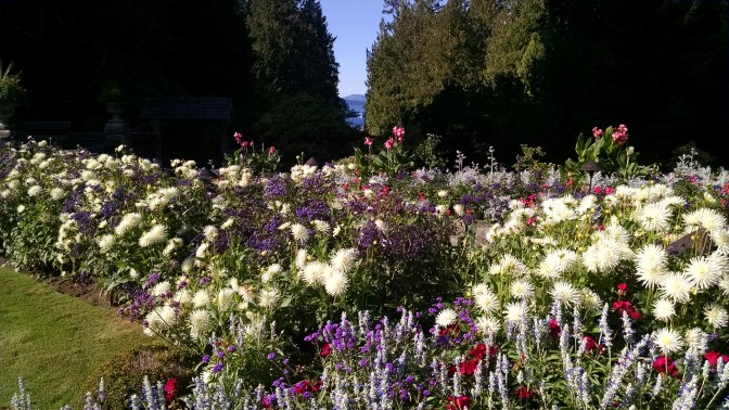 Butchart Gardens Tod Inlet behind flowers