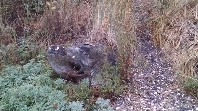 IMG_20170919_192332285