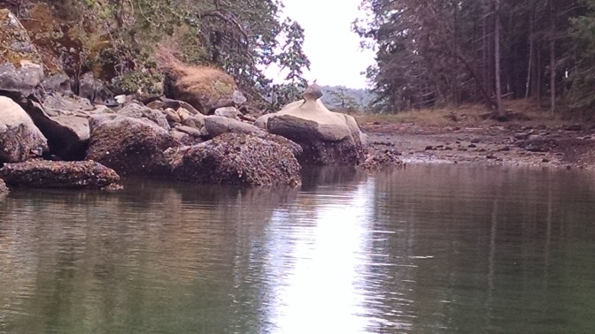 Pirates Cove bird on a mushroom stone