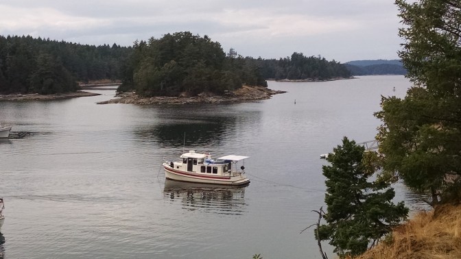 Pirates Cove overview