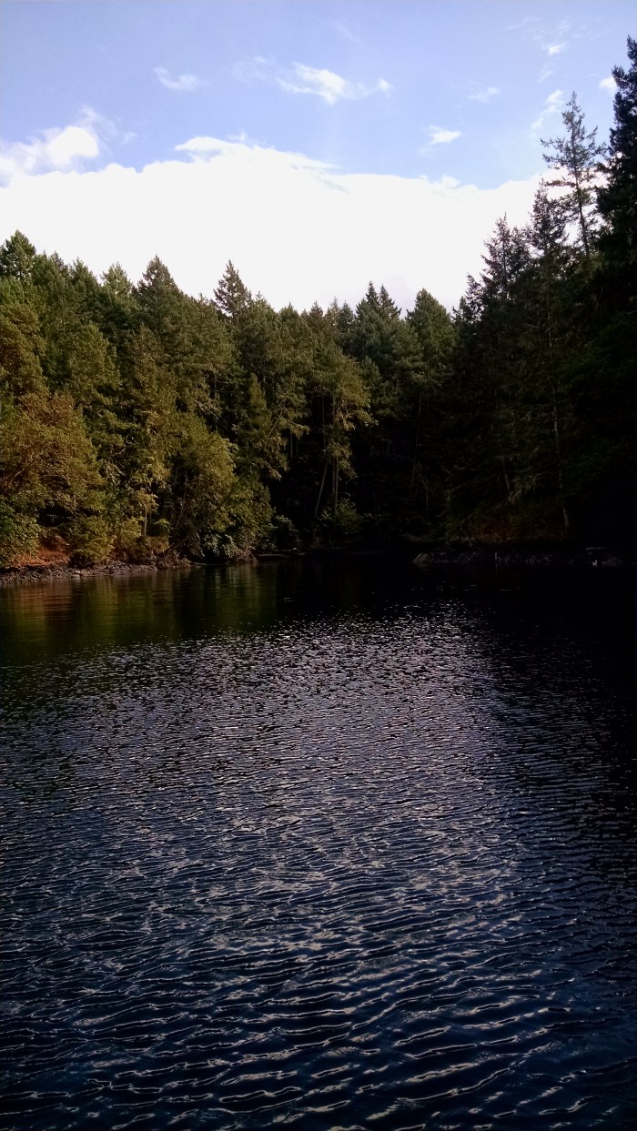 Royal Cove head of bay