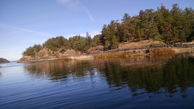 White Rock Cove morning