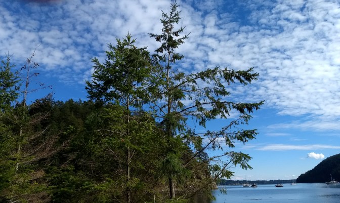 Eagle Harbor from the shore