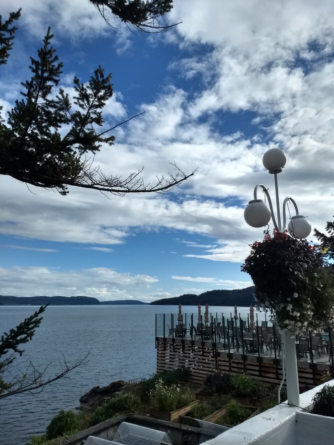 Rosario pool and terrace September 2018