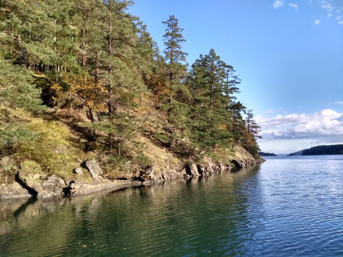 IMG_20191025_151120550_HDR