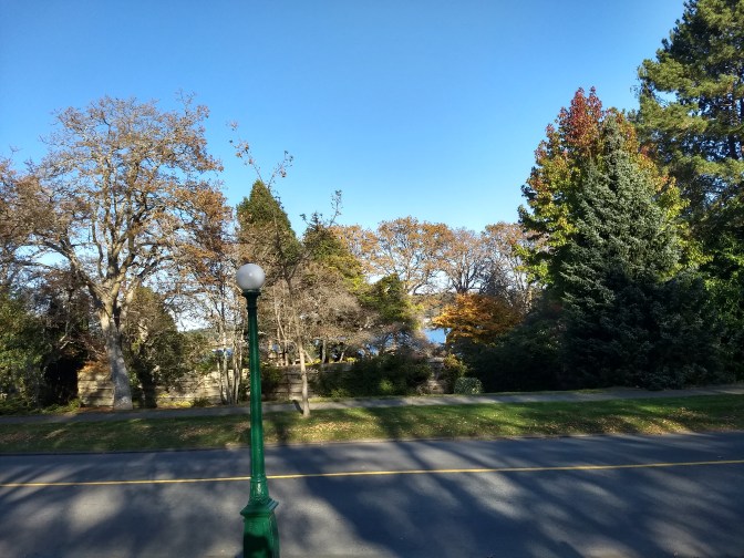 IMG_20191026_154649678_HDR