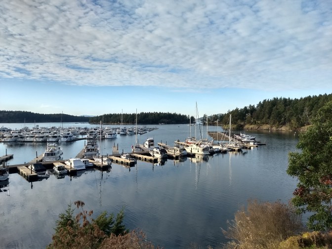 IMG_20191029_162455712_HDR