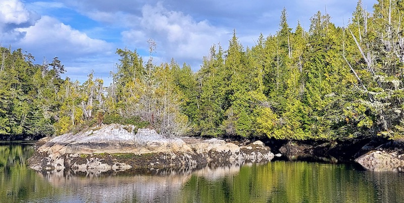 This image has an empty alt attribute; its file name is murray-labyrinth-islet.jpg