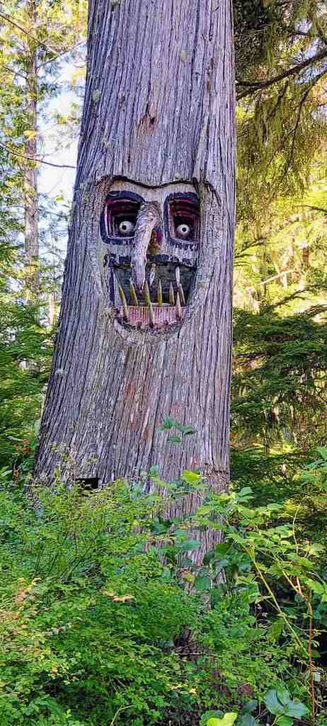 This image has an empty alt attribute; its file name is pruth-bay-mosquito-tree.jpg