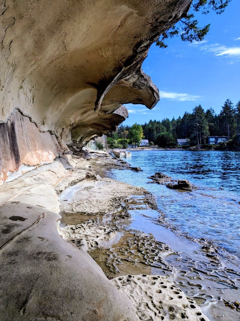 This image has an empty alt attribute; its file name is fall-trip-2026-gabriola-malaspina-galleries-1-1.jpg