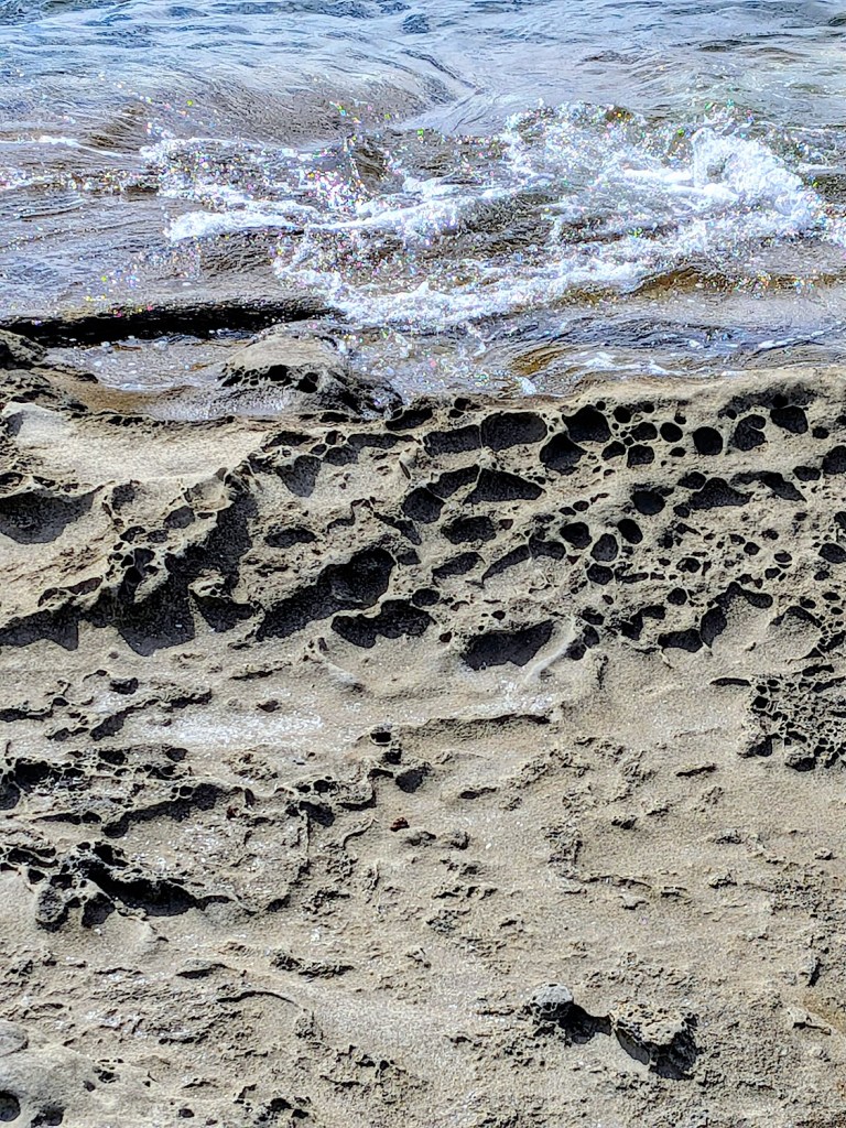 This image has an empty alt attribute; its file name is fall-trip-2026-gabriola-malaspina-galleries-honeycomb-3.jpg