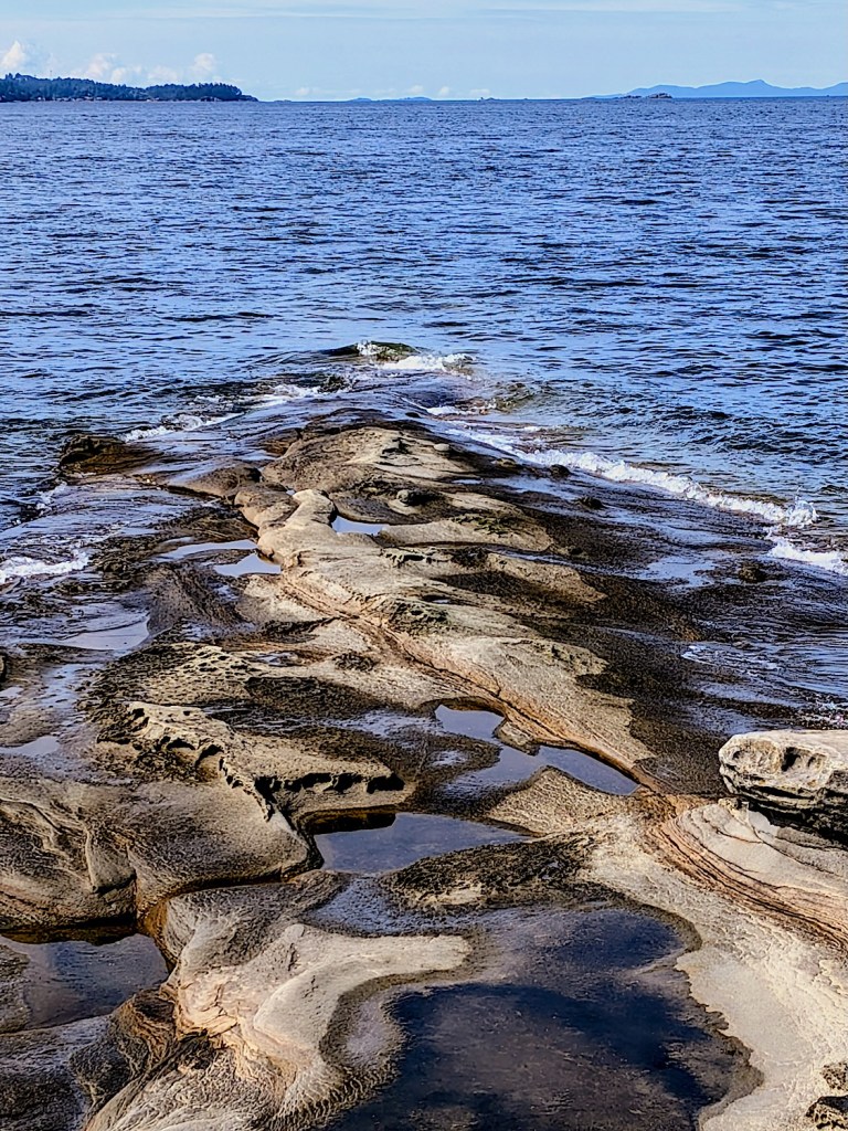 This image has an empty alt attribute; its file name is fall-trip-2026-gabriola-malaspina-galleries-point-1.jpg