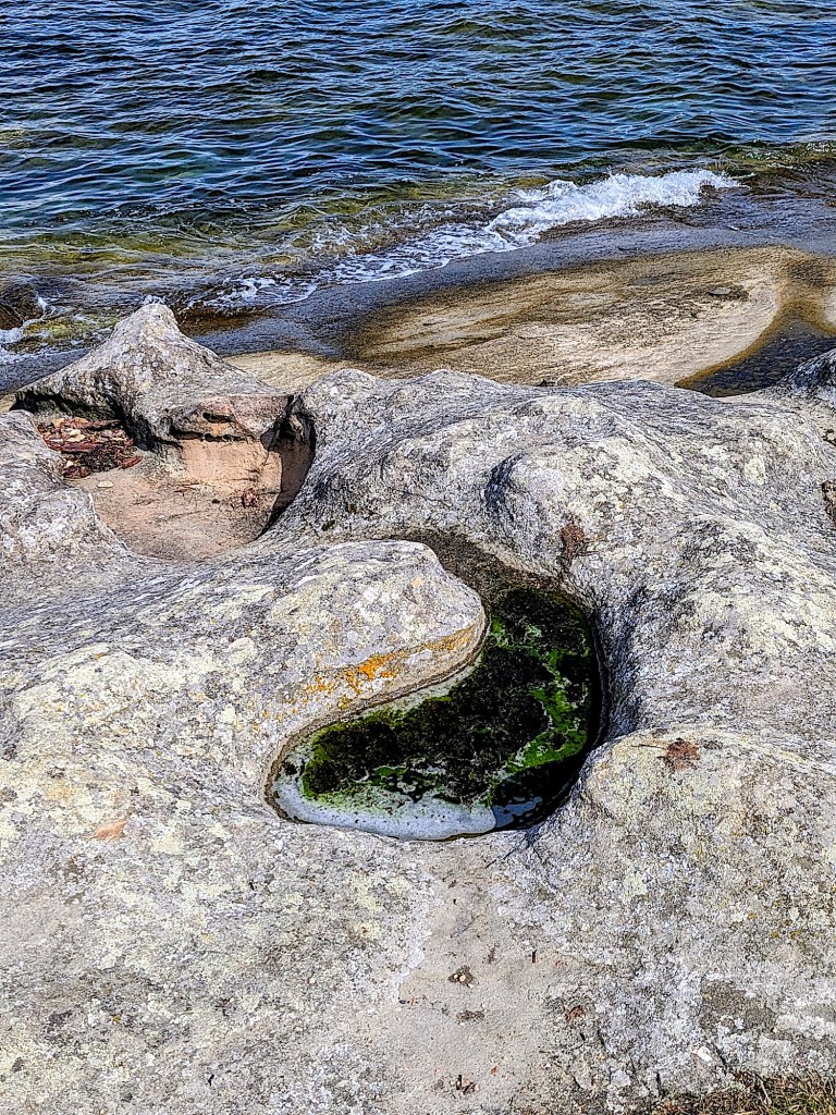 This image has an empty alt attribute; its file name is fall-trip-2026-gabriola-malaspina-galleries-tide-pool-1.jpg